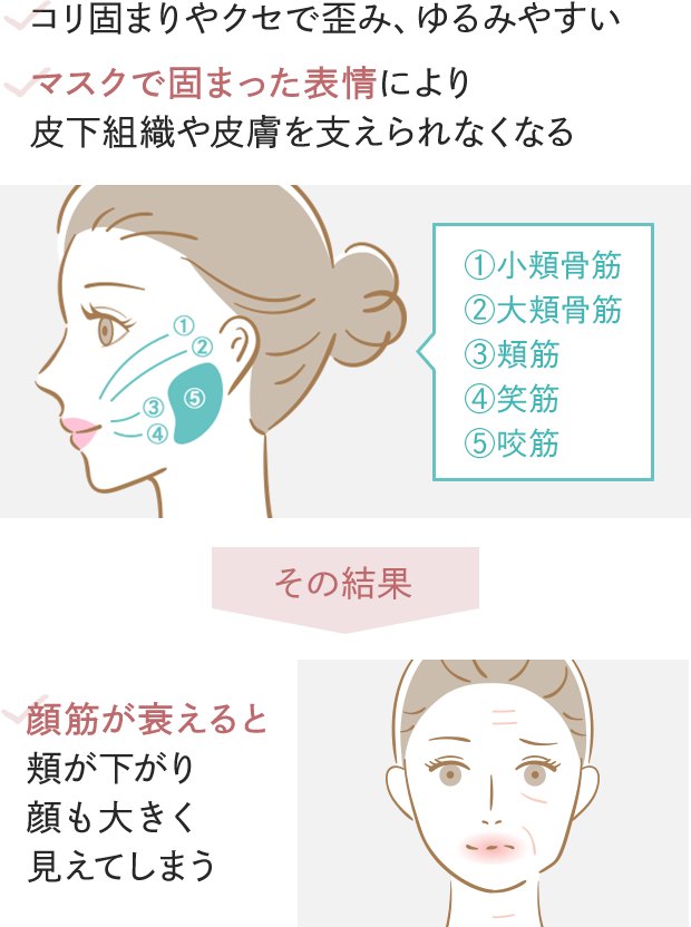 ・コリ固まりやクセで歪み、ゆるみやすい・マスクで固まった表情により皮下組織や皮膚を支えられなくなる・その結果 顔筋が衰えると頬が下が顔も大きく見えてしまう